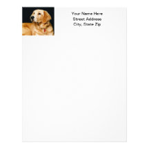 Golden Retriever Customized Letterhead