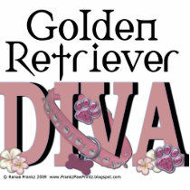 Golden Retriever DIVA