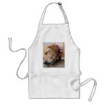 Golden Retriever Dog #4 Aprons