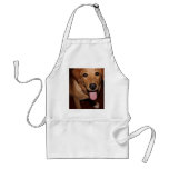 Golden Retriever Dog #5 Aprons