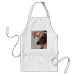 Golden Retriever Dog Aprons