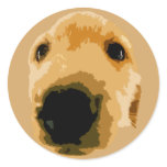 GOLDEN RETRIEVER DOG BROWN ROUND STICKERS