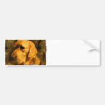Golden Retriever Dog  Bumper Sticker