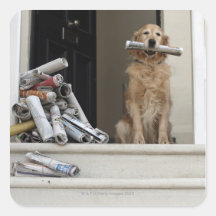 Golden retriever dog sitting at front door square stickers