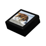Golden Retriever EVERYBODY STOP! I Lost My Contact Gift Boxes