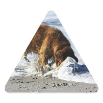 Golden Retriever EVERYBODY STOP! I Lost My Contact Stickers