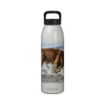 Golden Retriever EVERYBODY STOP! I Lost My Contact Water Bottles
