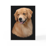 Golden Retriever Frisco Greeting Card