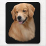 Golden Retriever Frisco Mousepad