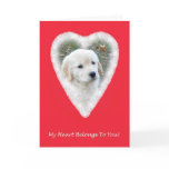 Golden Retriever Funny Valentine's Day Card