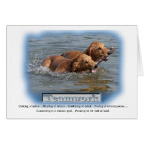 Golden Retriever Gifts Cards