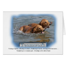 Golden Retriever Gifts Cards