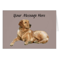 Golden Retriever Greeting Card