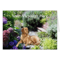 Golden Retriever Greeting Card