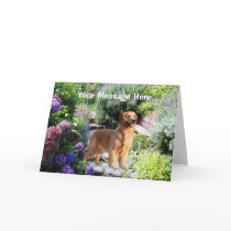 Golden Retriever Greeting Card