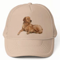 Golden Retriever Hat