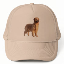 Golden Retriever Hat