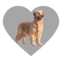 Golden Retriever Heart Sticker