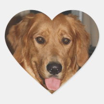 Golden Retriever Heart Stickers