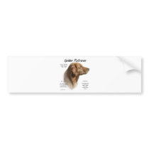 Golden Retriever History Design