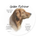 Golden Retriever History Design