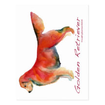 Golden Retriever in living colour Postcard