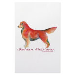 Golden Retriever in living colour