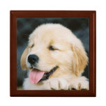 Golden Retriever Keepsake Gift Box
