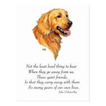 Golden Retriever Keepsake Post Card