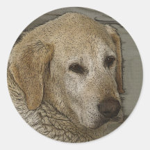 "GOLDEN RETRIEVER\LABRADOR" Stickers