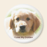Golden Retriever Love magnets