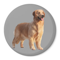 Golden Retriever Magnet