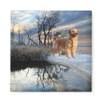 Golden Retriever Magnet
