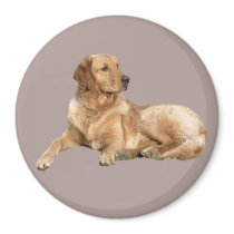 Golden Retriever Magnet