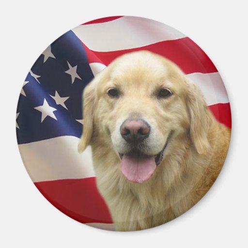 Golden Retriever Magnet