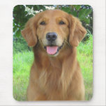 Golden Retriever Maia Pretty Mousepad