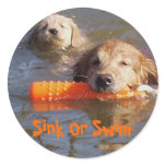 Golden Retriever Mom With Puppy Sticker