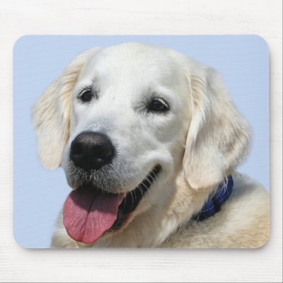 Golden Retriever Mousepad by alwaysdogs