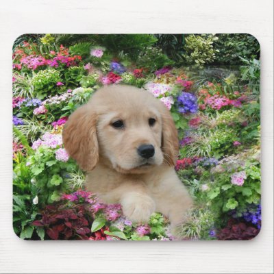 Golden Retriever Mousepad Flower Garden by normagolden