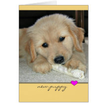 Golden Retriever "New Puppy" Greeting Card