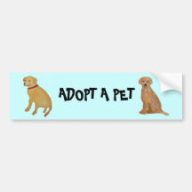 Golden Retriever Pet Adoption Bumper Sticker