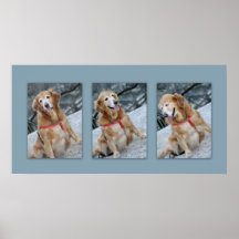 Golden Retriever Photo Collage Print l
