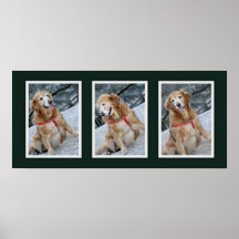 Golden Retriever Photo Collage Print ll