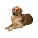 Golden Retriever Cut Out