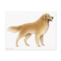 Golden Retriever Postcard