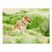 Golden Retriever Postcard