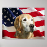 Golden Retriever Print