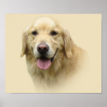 Golden Retriever Print