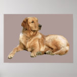 Golden Retriever Print