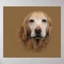 Golden Retriever Print